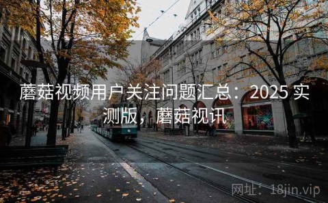 蘑菇视频用户关注问题汇总：2025 实测版，蘑菇视讯
