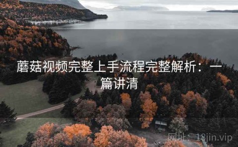 蘑菇视频完整上手流程完整解析：一篇讲清