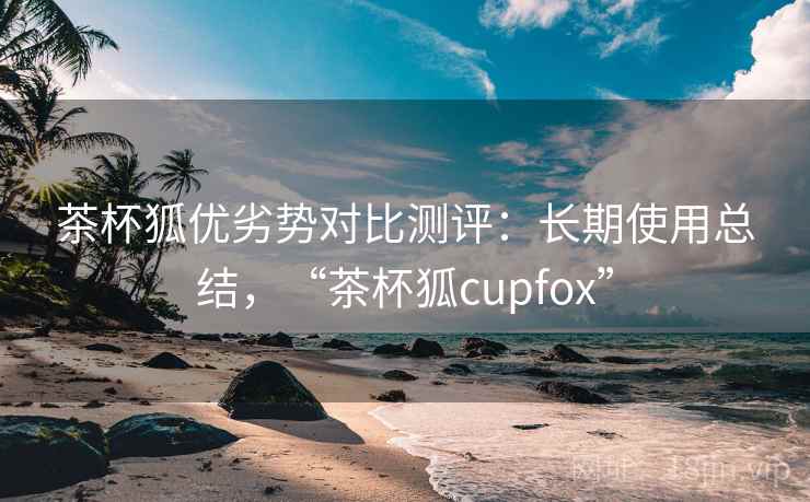 茶杯狐优劣势对比测评：长期使用总结，“茶杯狐cupfox”